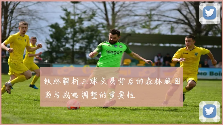 铁林解析三球交易背后的森林狼困惑与战略调整的重要性