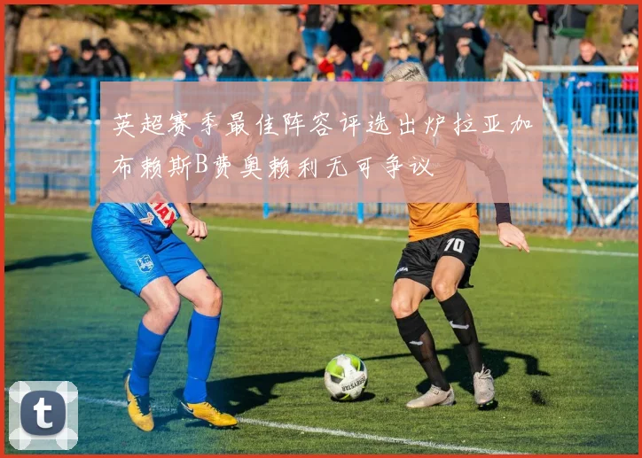 英超赛季最佳阵容评选出炉拉亚加布赖斯B费奥赖利无可争议